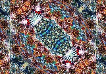 《刺客信条：影》在日首周销量成系列最差一作